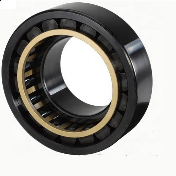 CRB3010 Bearing Full Complement Cross Cylindrical Roller Bearing #1 image