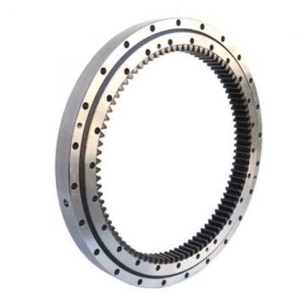 RU297UUC0X-N slewing ring bearing #1 image